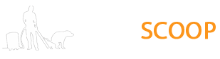 Logo Kakascoop